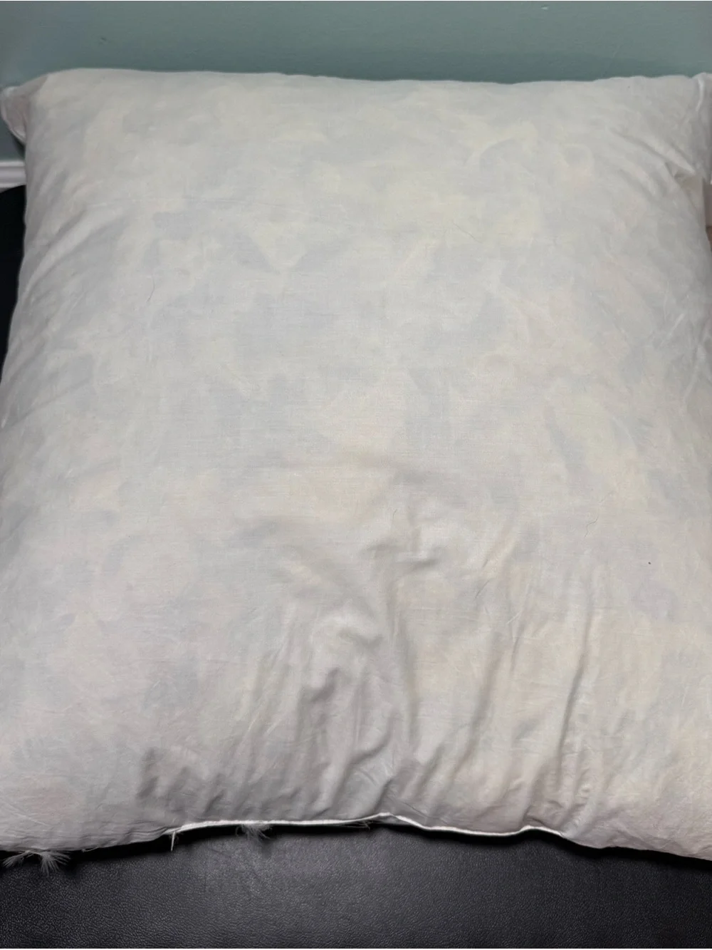 Plain White Decorative Pillow Insert 18X18